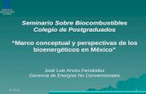 15/04/20151 Seminario Sobre Biocombustibles Colegio de Postgraduados “Marco conceptual y perspectivas de los bioenergéticos en México” José Luis Arvizu.