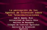 La percepción de los Agentes de Extensión sobre las Telecomunicaciones José M. Huerta, Ph.D. Universidad de Puerto Rico Recinto de Mayagüez Colegio de.