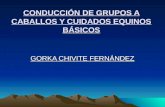 CONDUCCIÓN DE GRUPOS A CABALLOS Y CUIDADOS EQUINOS BÁSICOS GORKA CHIVITE FERNÁNDEZ.