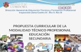 PROPUESTA CURRICULAR DE LA MODALIDAD TÉCNICO PROFESIONAL EDUCACIÓN SECUNDARIA.