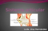 Lcda. Ana Hernández. Los sistemas óseo, muscular. Articular y nervioso, forman parte del sistema locomotor, lo que hace posible la realización de movimientos.