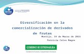 Diversificación en la comercialización de derivados de frutas Patricia Calvo Magro Montijo, 19 de Marzo de 2015.