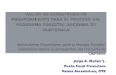 TALLER DE ESTRATEGIAS DE FINANCIAMIENTO PARA EL PROCESO DEL PROGRAMA FORESTAL NACIONAL EN GUATEMALA Mecanismos Financieros para el Manejo Forestal Sostenible.