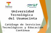 V01/0513 R-VIN-25 Universidad Tecnológica del Usumacinta Catálogo de Servicios Tecnológicos y Educación Continua.