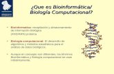 Bioinformatica: recopilación y almacenamiento de información biológica (AND/ARN) proteina Biología computacional: El desarrollo de algoritmos y métodos.