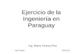 Ing. Maria Teresa Pino San Paulo 31/01/15 Ejercicio de la Ingeniería en Paraguay.