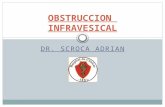 DR. SCROCA ADRIAN OBSTRUCCION INFRAVESICAL. Con esta denominación se agrupan una serie de padecimientos que aunque tengan etiologías diferentes, en su.