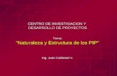 CENTRO DE INVESTIGACION Y DESARROLLO DE PROYECTOS Tema: “Naturaleza y Estructura de los PIP” Ing. Juan Carbonel V. CENTRO DE INVESTIGACION Y DESARROLLO.