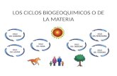 LOS CICLOS BIOGEOQUIMICOS O DE LA MATERIA. Qué son los ciclos biogeoquímicos Son procesos naturales que reciclan elementos en diferentes formas químicas.