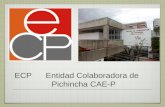 ECP Entidad Colaboradora de Pichincha CAE-P. Durante tres años y medio el CAE-P colaboró propositivamente con el Municipio del DMQ para cambiar el registro.