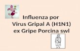 Influenza por Virus Gripal A (H1N1) ex Gripe Porcina swl.