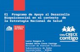 El Programa de Apoyo al Desarrollo Biopsicosocial en el contexto de la Estrategia Nacional de Salud Lucia Vergara P. Unidad Chile Crece Contigo División.