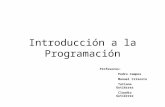 Introducción a la Programación Profesores: Pedro Campos Manuel Crisosto Tatiana Gutiérrez Claudio Gutiérrez.