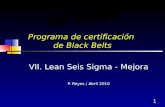 1 Programa de certificación de Black Belts VII. Lean Seis Sigma - Mejora P. Reyes / Abril 2010.
