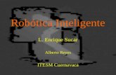 Robótica Inteligente L. Enrique Sucar Alberto Reyes ITESM Cuernavaca.