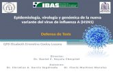 Epidemiología, virología y genómica de la nueva variante del virus de influenza A (H1N1) QFB Elizabeth Ernestina Godoy Lozano Director: Director: Dr. Daniel.