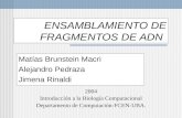 ENSAMBLAMIENTO DE FRAGMENTOS DE ADN Matías Brunstein Macri Alejandro Pedraza Jimena Rinaldi 2004 Introducción a la Biología Computacional Departamento.