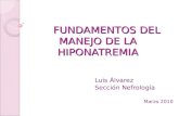 FUNDAMENTOS DEL MANEJO DE LA HIPONATREMIA Luis Álvarez Sección Nefrología Marzo 2010.