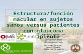 Estructura/función macular en sujetos sanos versus pacientes con glaucoma incipiente Marta Beatriz Rodríguez Cavas José Javier García Medina Elena Rodica.