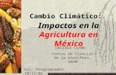 Impactos en la Agricultura en México Cambio Climático: Cecilia Conde. Centro de Ciencias de la Atmósfera, UNAM Col. Posgraduados. 10/11/06 IMPACTO Y MITIGACIÓN.