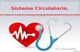 Miss: Francisca Bobadilla.. Identificar los componentes del Sistema Circulatorio. Reconocer las partes más importantes del corazón. Relacionar las partes.