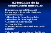 8.Mecánica de la contracción muscular El músculo esquelético está formado por fibras de distintas características: Abundancia de mitocondrias Abundancia.