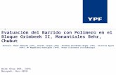 Evaluación del Barrido con Polímero en el Bloque Grimbeek II, Manantiales Behr, Chubut Autores: Thaer Gheneim (YPF), Gastón Jarque (YPF), Esteban Fernández.