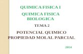 QUIMICA FISICA I QUIMICA FISICA BIOLOGICA TEMA 2 POTENCIAL QUIMICO PROPIEDAD MOLAL PARCIAL 2014.