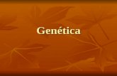 Genética. Genética Conceptos básicos Actividad 38 de la guía En esta actividad se piden los conceptos básicos de genética, que tienen que ser utilizados.