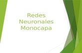 Redes Neuronales Monocapa. Redes Monocapa: l1l1 lnln l2l2 Las redes monocapa se utilizan t­picamente en en tareas relacionadas en lo que se conoce como
