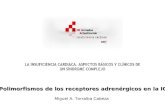 Polimorfismos de los receptores adrenérgicos en la IC Miguel A. Torralba Cabeza.
