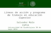 Líneas de acción y programa de trabajo en educación superior Salvador Malo CUPIA Universidad de Guadalajara 30 de mayo 2014.