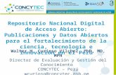 Repositorio Nacional Digital de Acceso Abierto: Publicaciones y Datos Abiertos para el fortalecimiento de la ciencia, tecnología e innovación en el Perú.