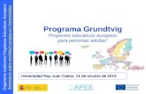Organismo Autónomo Programas Educativos Europeos Seminarios sobre movilidad europea en Universidades Programa Grundtvig “Proyectos educativos europeos.