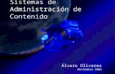 Sistemas de Administración de Contenido Álvaro Olivares Noviembre 2003.