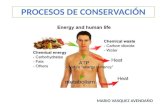 MARIO VASQUEZ AVENDA‘O. 1. Conocer la importancia del metabolismo: catabolismo y anabolismo como procesos bioenerg©ticos. 2. Comprender los aspectos generales