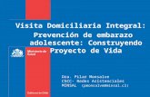 Visita Domiciliaria Integral: Prevención de embarazo adolescente: Construyendo Proyecto de Vida Dra. Pilar Monsalve ChCC- Redes Asistenciales MINSAL (pmonsalve@minsal.cl)