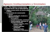 Apoyos Institucionales y Gremiales TNC, The Nature Conservancy (Conservación de la Naturaleza) Misión: conservación de biodiversidad y RRNN Herramientas.