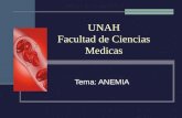 UNAH Facultad de Ciencias Medicas Tema: ANEMIA. Definición Reducción por debajo de lo normal del volumen de hematíes concentrados, medido por el hematocrito,