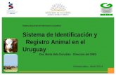 Sistema Nacional de Información Ganadera Sistema de Identificación y Registro Animal en el Uruguay Montevideo, Abril 2014 Dra. María Nela González - Directora.