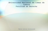 Universidad Nacional de Lomas de Zamora Facultad de Derecho María Silvia Villaverde.