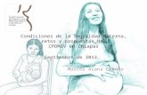 Condiciones de la Seguridad Materna, retos y propuestas del CPDMSV en Chiapas Septiembre de 2013. Marcos Arana Cedeño.
