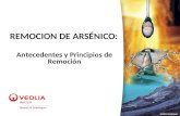 Andrea Laybauer REMOCION DE ARSÉNICO: Antecedentes y Principios de Remoción.