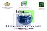 Febrero, 2005 DESARROLLO DE CADENAS PRODUCTIVAS Ministerio de Desarrollo Económico Sistema Boliviano de Productividad y Competitividad Ministerio de Asuntos.