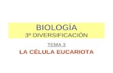 BIOLOGÍA 3º DIVERSIFICACIÓN TEMA 3 LA CÉLULA EUCARIOTA.