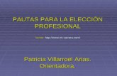 PAUTAS PARA LA ELECCIÓN PROFESIONAL fuente:  Patricia Villarroel Arias. Orientadora.