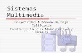 Sistemas Multimedia Universidad Autónoma de Baja California Facultad de Ciencias Administrativas y Sociales.