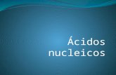 Ácidos nucleicos. Ácidos Nucleicos Los ácidos Nucleicos son biopolímeros que se encuentran en el núcleo y el citoplasma de la célula. Existen dos tipos.