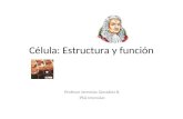 Célula: Estructura y función Profesor Jeremías González B. PSU Intensivo.
