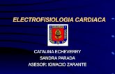 ELECTROFISIOLOGIA CARDIACA CATALINA ECHEVERRY SANDRA PARADA ASESOR: IGNACIO ZARANTE.